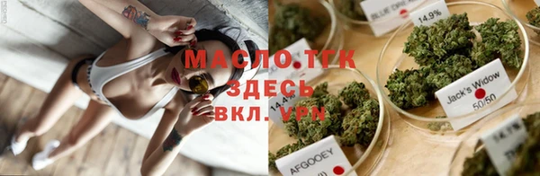 тгк Бородино