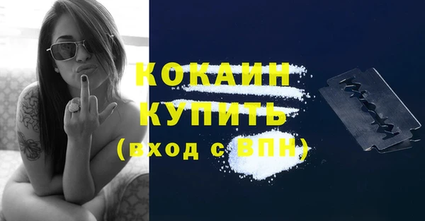 тгк Бородино