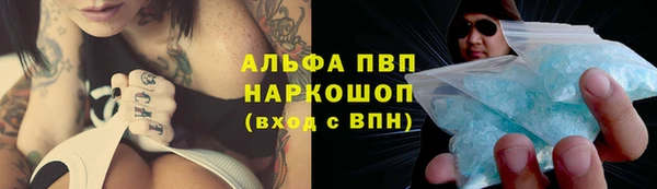 тгк Бородино