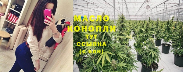 тгк Бородино