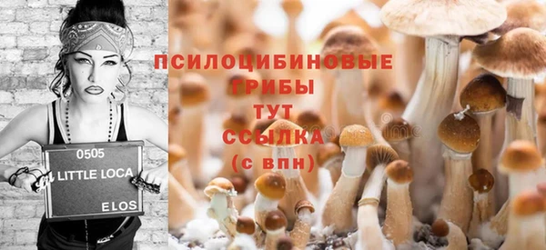 ECSTASY Бронницы