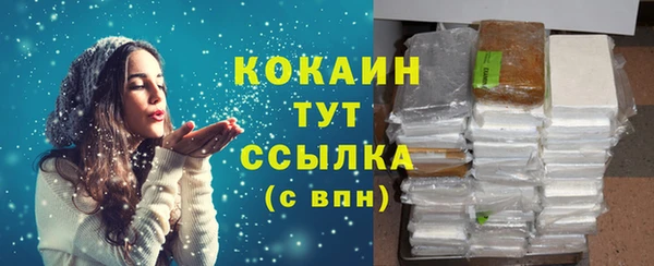 тгк Бородино