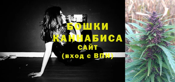 ECSTASY Бронницы