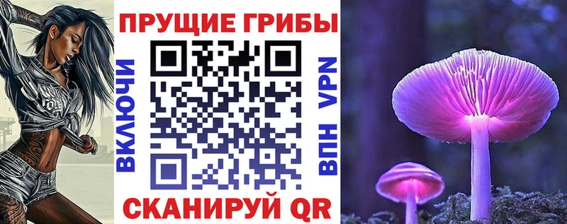 Купить  Новосокольники  Галлюциногенные грибы мицелий 